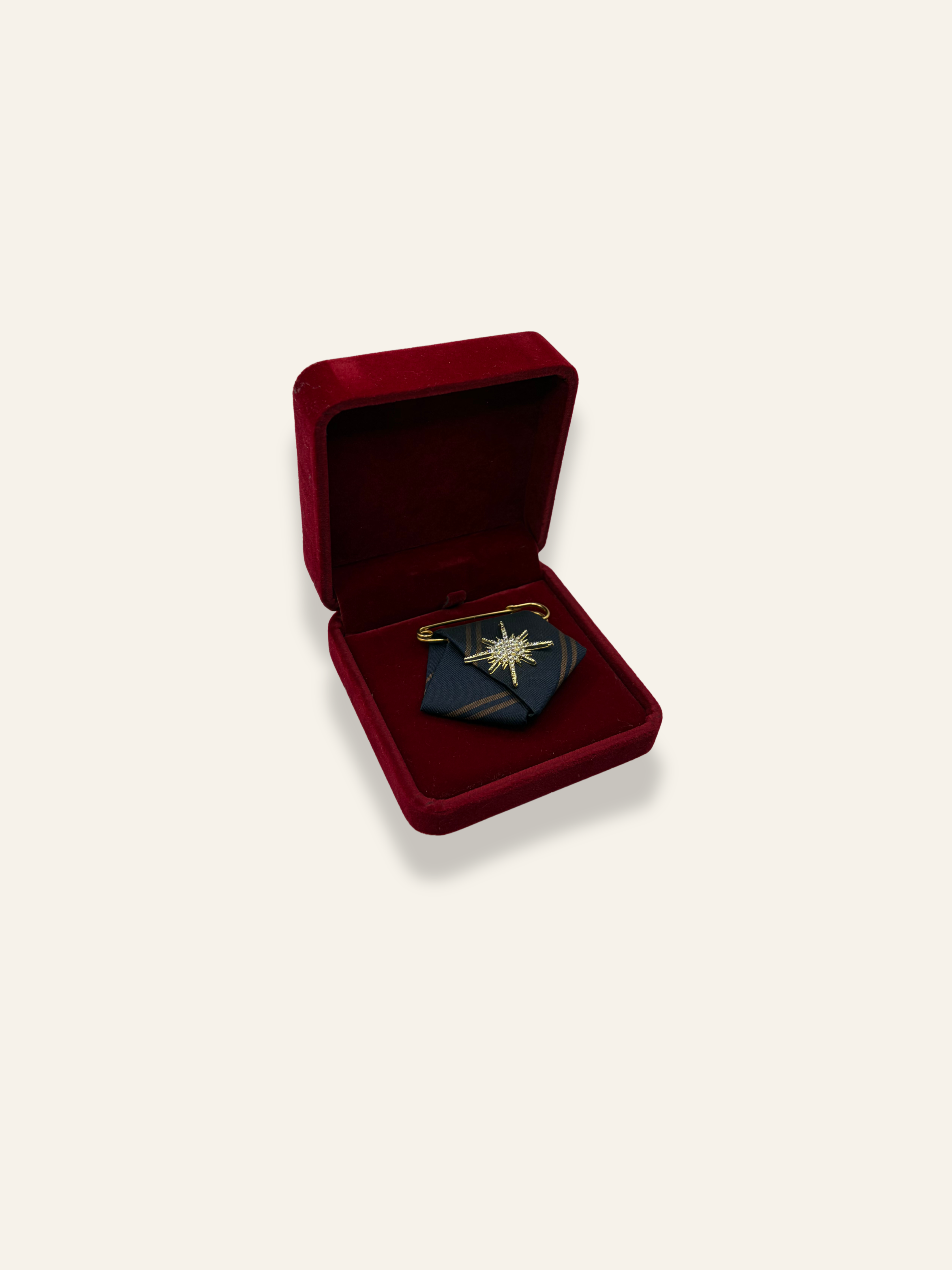 La Petite Navy Brooch