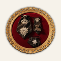 Black Brooch Trilogie